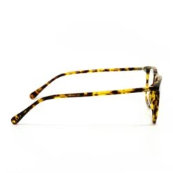MAXWELL - AMBER TORTOISE + CLEAR GLASSES -Glasses Sales Store MAXWELL ambertortoise side 8b36dd5c 3013 4879 ad8d 15072f2365a2