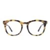 WESTON - HAZEL TORTOISE + CLEAR GLASSES