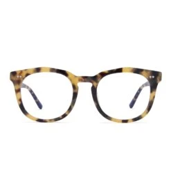 WESTON - HAZEL TORTOISE + CLEAR GLASSES